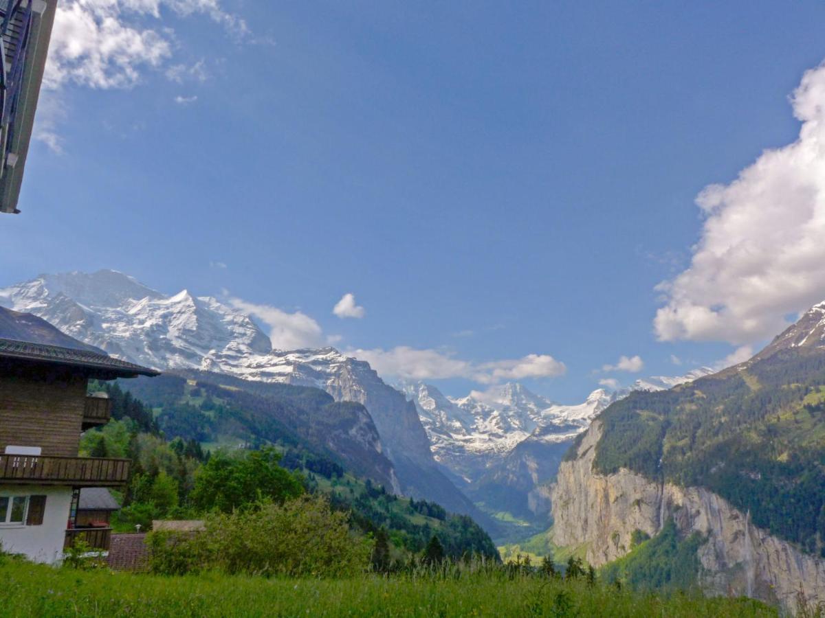 Studio Chalet Silence By Interhome Wengen Ngoại thất bức ảnh