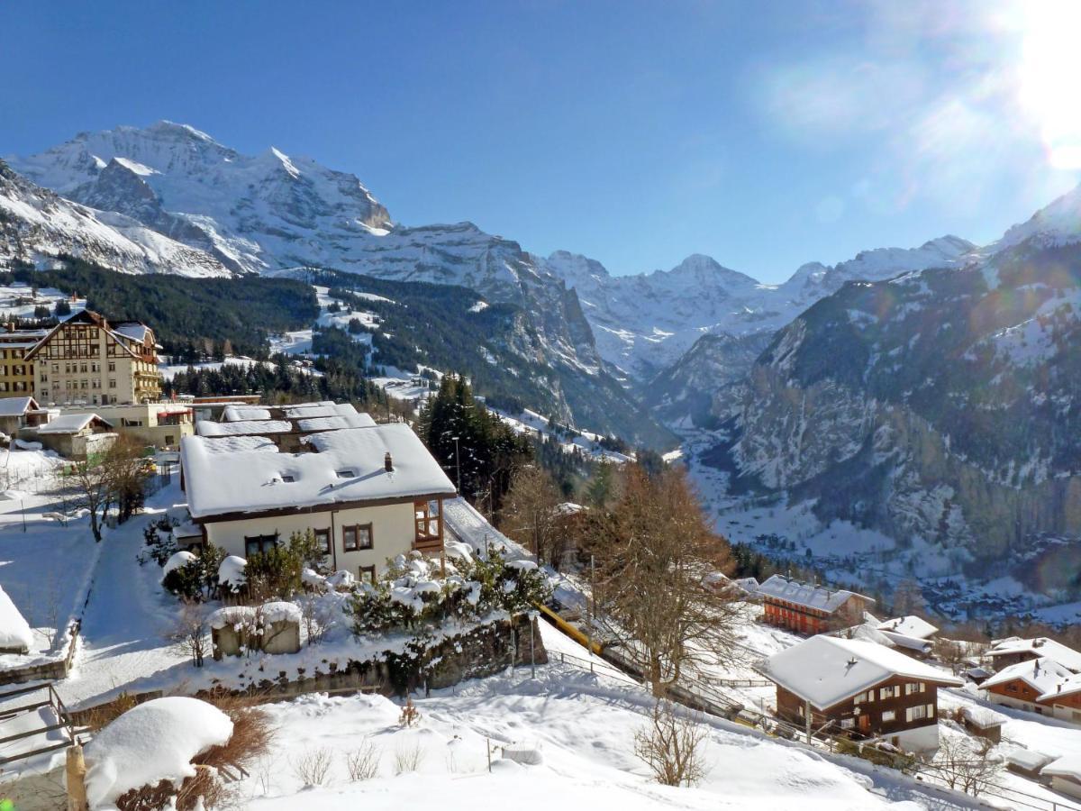 Studio Chalet Silence By Interhome Wengen Ngoại thất bức ảnh